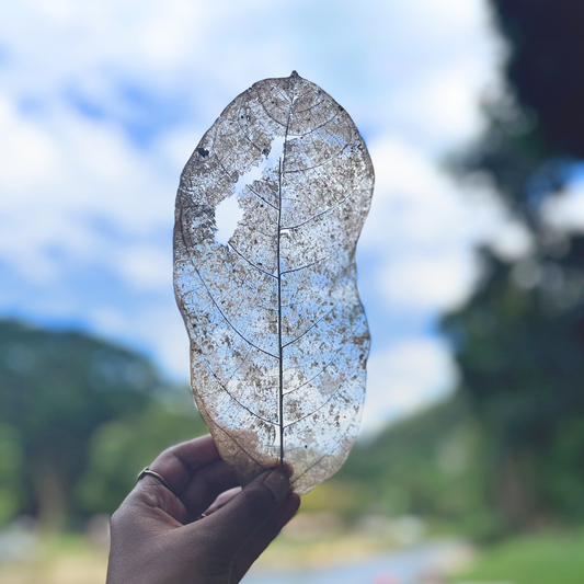 Dünya Değişmiyor, Sadece Penceren Kirleniyor: Senin Gerçeğin Hangisi?