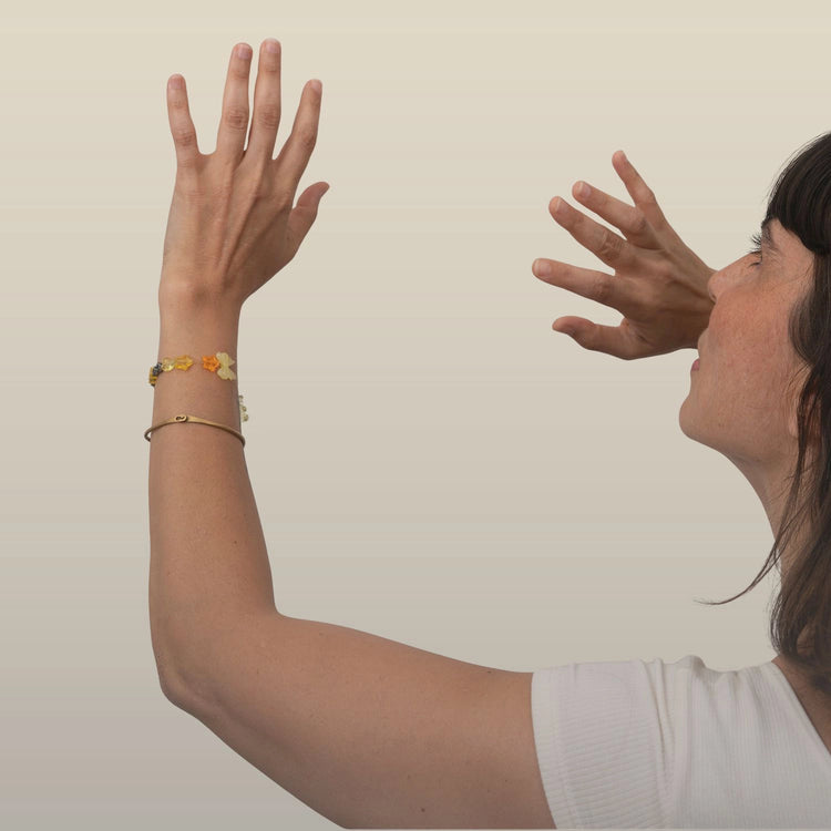 8-Lesson Package | Somatic Experiencing