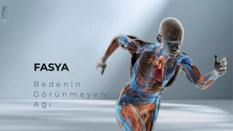 Fasya Temelleri Atölyesi
