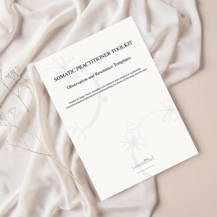  Somatic Practitioner Toolkit | Observation and Resonance Templates
