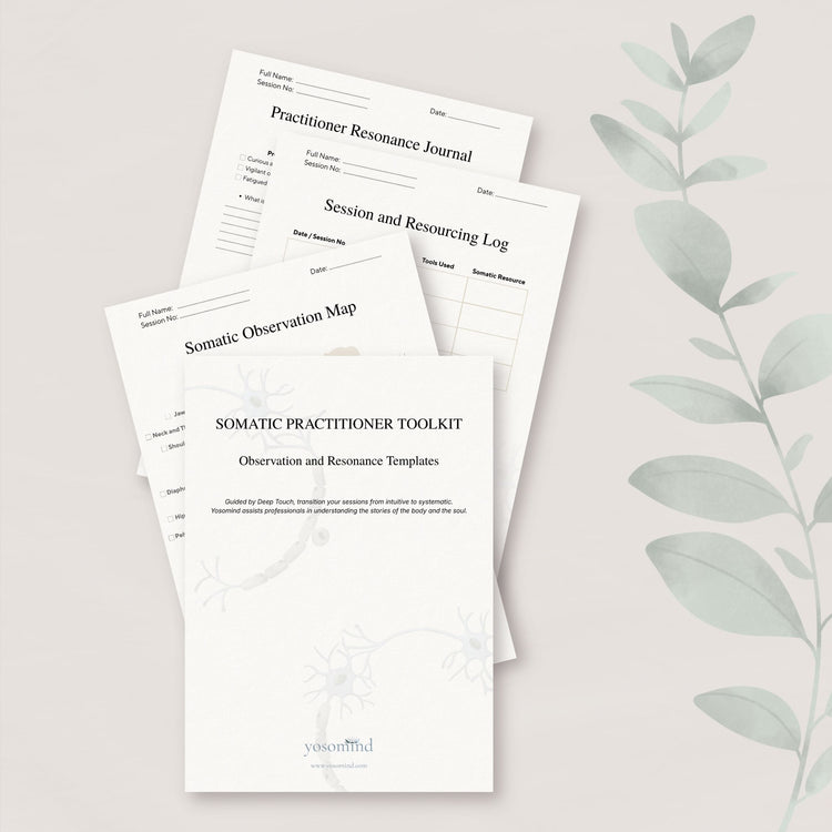 Somatic Practitioner Toolkit | Observation and Resonance Templates

