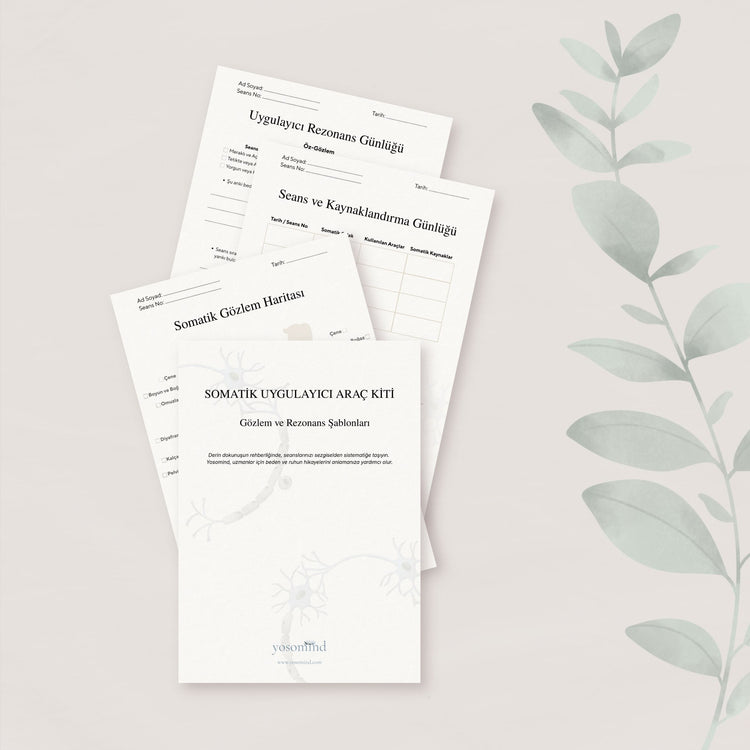  Somatic Practitioner Toolkit | Observation and Resonance Templates

