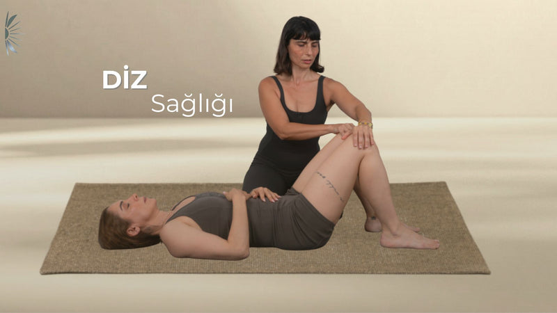 Bütünsel Sağlık